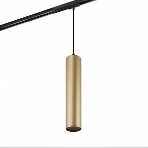 Светильник на шине Denkirs DK6210-BG фото