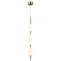 Подвесной светильник Odeon Light 4792/28L фото