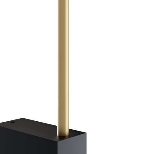 Настенный светильник (бра) Maytoni Technical C071WL-L12GB3K фото 3