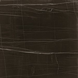 Керамогранит Lafaenza Ceramica Trex 120N RM Black 120x120 фото