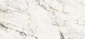 Керамогранит Lafaenza Ceramica Aesthetica AE PAO6 260 LP 260x120 фото