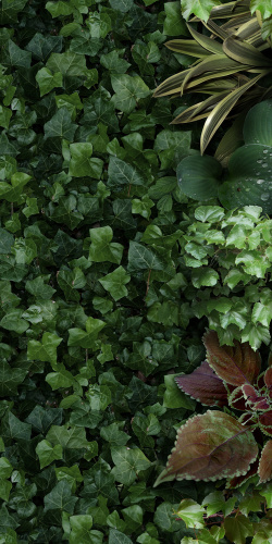 Керамогранит 41ZERO42 Paper41 Pro 4100151 Jane A 50х100