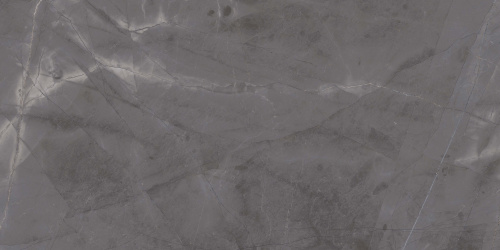 QUA Granite Space Brown 120x60 коричневый полированная фото 5