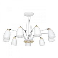 Подвесная люстра LOFT IT LOFT4402/9WH фото