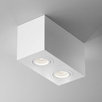 Накладной светильник Maytoni Technical C017CL-02W фото