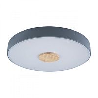 Накладной светильник LOFT IT 10003/24 Grey фото