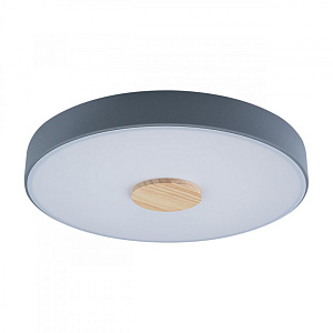 Накладной светильник LOFT IT 10003/24 Grey фото