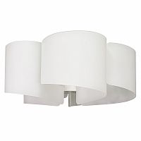 Накладная люстра Lightstar 811050 фото