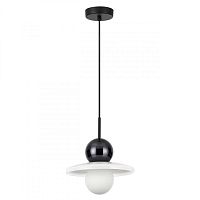 Подвесной светильник Odeon Light 5014/1D фото