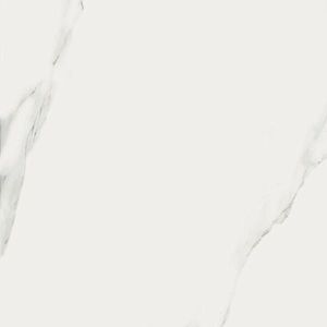 Керамогранит Mirage Jewels Bianco Statuario JW01 Luc Ret 60x60 фото