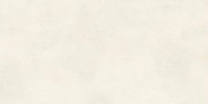 Керамогранит Atlas Concorde Boost Balance AJNN Pure 60х120 фото