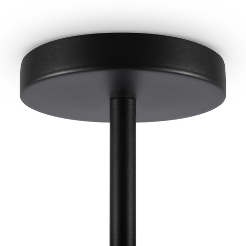 Подвесной светильник Freya FR5201PL-06B фото 2