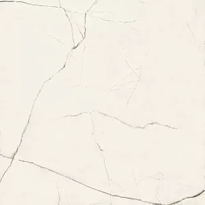 Керамогранит Imola The Room StaVp6120Rm 120х120 фото