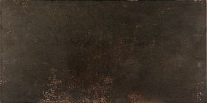 Керамогранит Evolution Bronce 49.1x98.2 фото