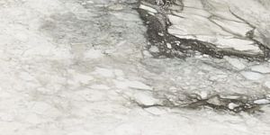 Керамогранит Rex Ceramiche Etoile de Rex 761727 Etoile Renoir Glo Ret 120x280 фото