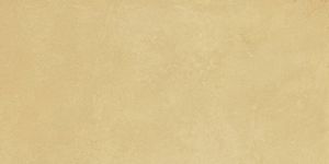 Керамогранит Imola Ceramica Retina RTN6 SENAP12 RM 60x120 фото