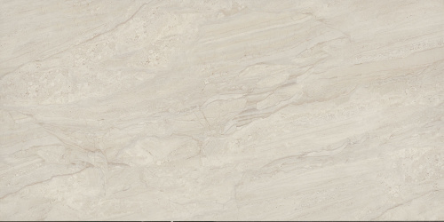 BIEN Daino Lienzo Bone 120x60 серый полированная фото 2