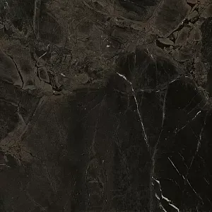 Керамогранит Imola The Room InfBr6120Rm 120х120 фото