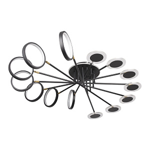 Накладная люстра LOFT IT 10164L Black фото