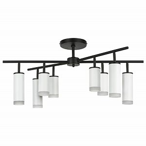 Люстра на штанге Lightstar LR7283648640 фото