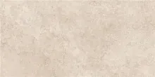 Керамогранит KTL Tivoli CAN5ROTIQDQA Natural MT 60x120 фото