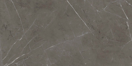 Керамогранит ABK PF60006313 Sensi 900 Stone Grey Lux Ret 60х120