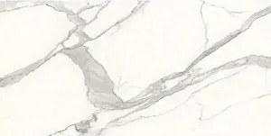 Керамогранит Art&Natura Ceramica Marmo Statuario Venato Matt 60x120 фото