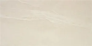 Керамогранит STN Ceramica Austral CAN5AUSAODAA Ivory MT 60x120 фото
