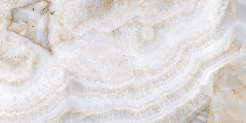 QUA Granite Venus 120x60 серый полированная фото 6