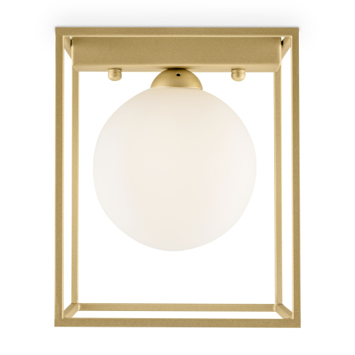 Потолочный светильник Freya FR5113CL-01G