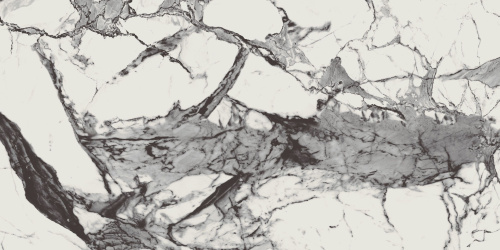 BIEN Newport 120x60 белый полированная фото 6