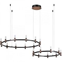 Подвесная люстра Odeon Light 5009/98LA фото