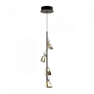 Подвесной светильник Odeon Light 5002/17L фото