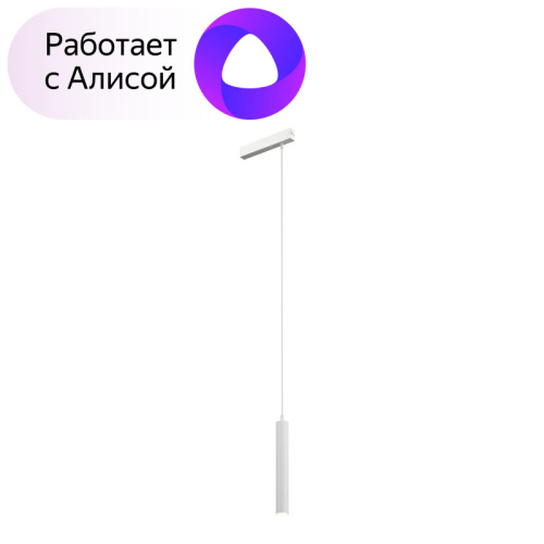 Светильник на шине Denkirs DK8008-WH