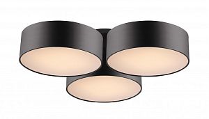 Накладной светильник Favourite 1514-6C фото