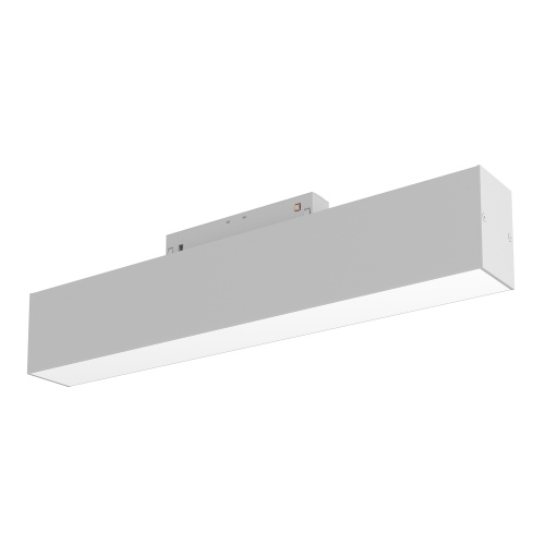 Трековый светильник Maytoni Technical TR012-2-12W3K-W