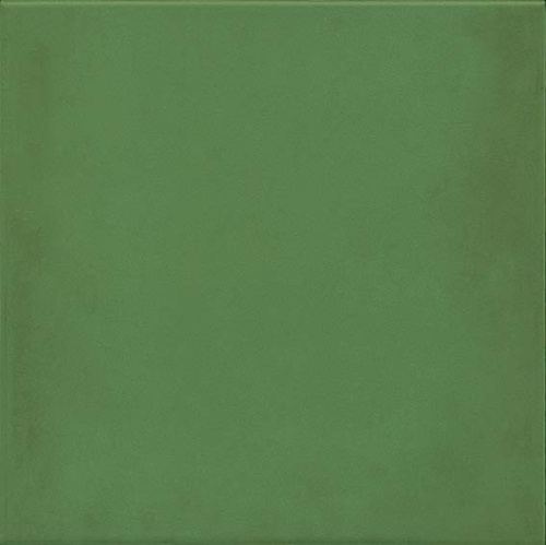 Керамогранит 1900 - 20x20 Verde g.136
