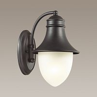 Светильник настенный Odeon Light 4041/1W фото