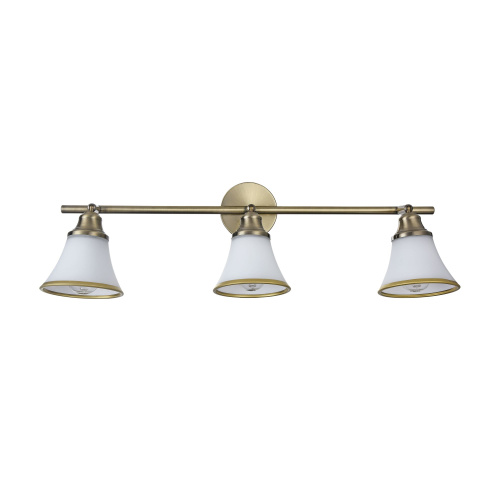 Спот Freya FR2272-CW-03-BS фото 3