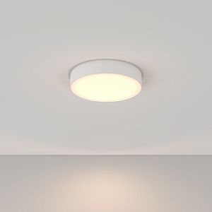 Потолочный светильник Maytoni Technical C032CL-L43W3K фото