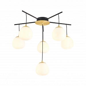 Накладная люстра Favourite 3047-6P фото