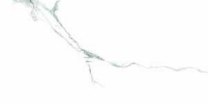 QUA Granite Statuario 120x60 белый полированная фото