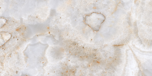 QUA Granite Venus 120x60 серый полированная фото 5