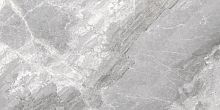 Керамогранит Cerdomus 75407 Supreme Silver Levigato Ret 60x120 фото