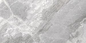 Керамогранит Cerdomus 75407 Supreme Silver Levigato Ret 60x120 фото