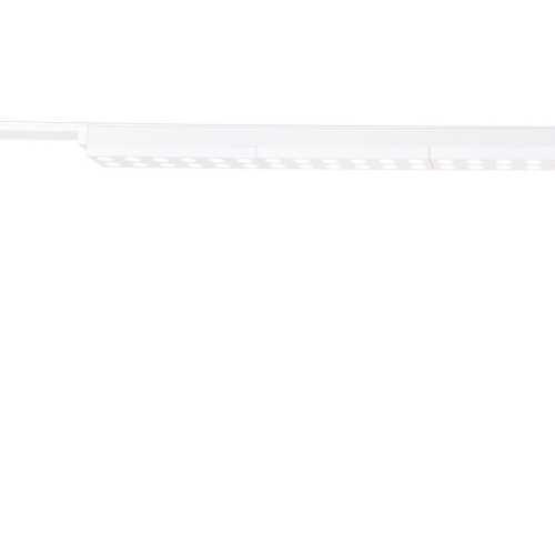 Светильник на шине Favourite 4140-2C