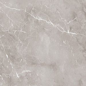 Керамогранит Ariana PF60004309 Epoque Grey Ret 60х60 фото