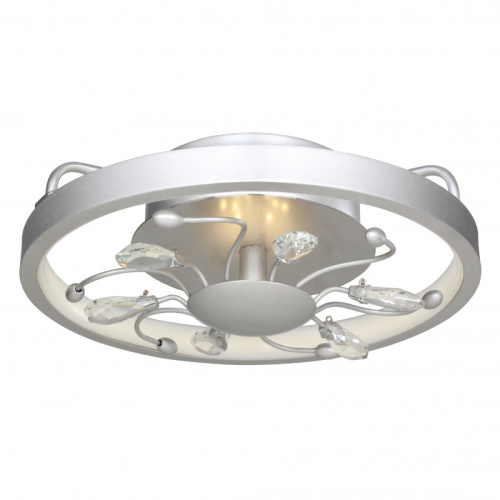 Накладной светильник Favourite 2523-2C