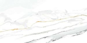 Керамогранит TAU Emporio Calacatta Nat. 60x120 фото