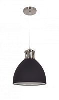 Подвесной светильник Odeon Light 3321/1 фото